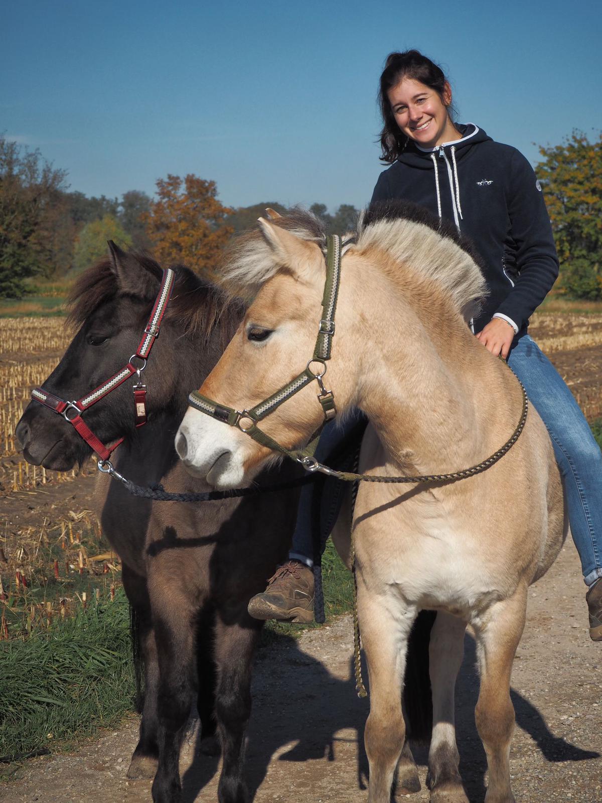 Catherina Huber auf dem Fjordpferd Daan, daneben Pony Bessi